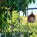 Evilion House Intholo. Sea, Nature, Relaxation! Апартаменты Tholon