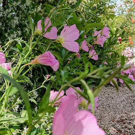 Evilion House Intholo. Sea, Nature, Relaxation! Appartement Tholon