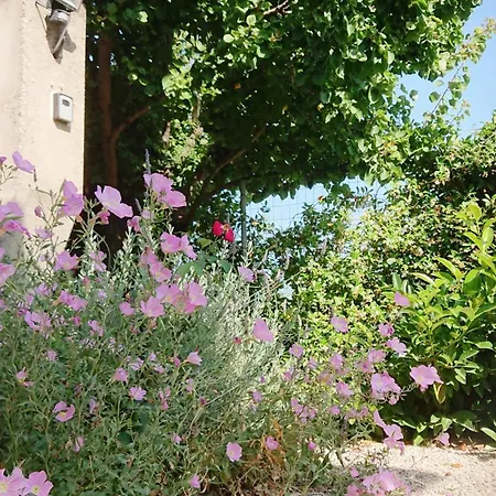 Appartement Evilion House Intholo. Sea, Nature, Relaxation! Tholon