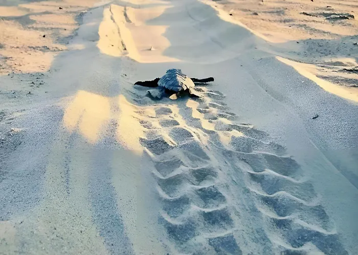 Evilion House Intholo. Sea, Nature, Relaxation! Appartamento Tholon