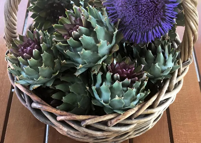 Appartamento Evilion House Intholo. Sea, Nature, Relaxation! *