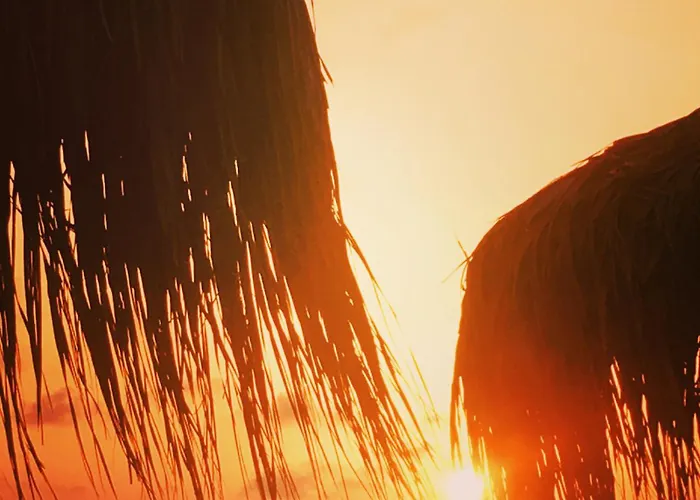 Evilion House Intholo. Sea, Nature, Relaxation! Appartamento Tholon