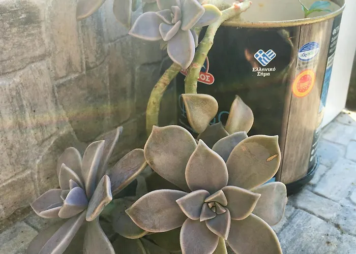 Evilion House Intholo. Sea, Nature, Relaxation!