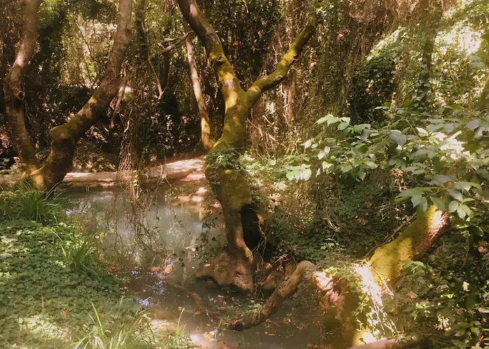 Evilion House Intholo. Sea, Nature, Relaxation! *