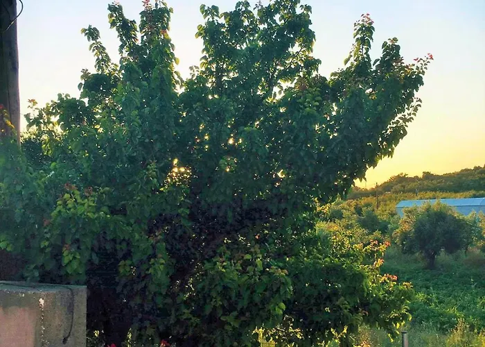 Evilion House Intholo. Sea, Nature, Relaxation! Appartamento *