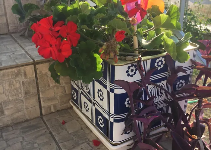 Appartamento Evilion House Intholo. Sea, Nature, Relaxation! Tholon