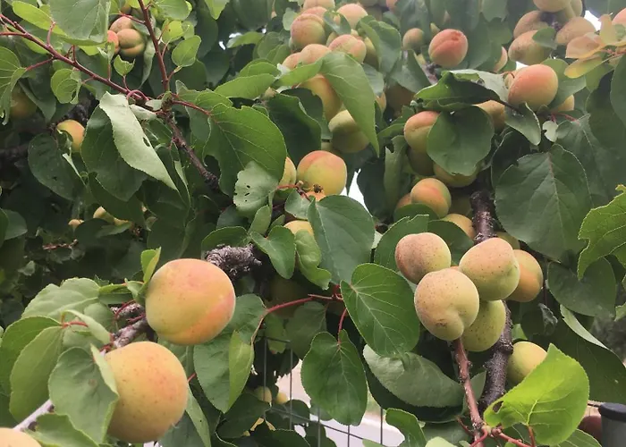 Evilion House Intholo. Sea, Nature, Relaxation! Tholon