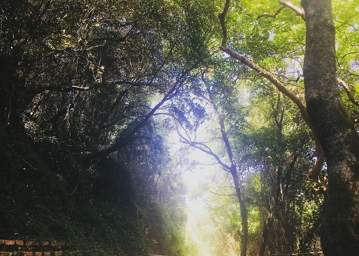 Evilion House Intholo. Sea, Nature, Relaxation! Appartamento