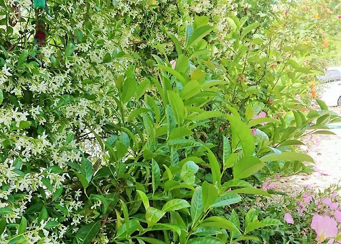 Evilion House Intholo. Sea, Nature, Relaxation! Appartamento *