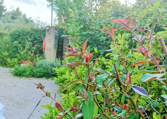 Evilion House Intholo. Sea, Nature, Relaxation! Appartamento Tholon