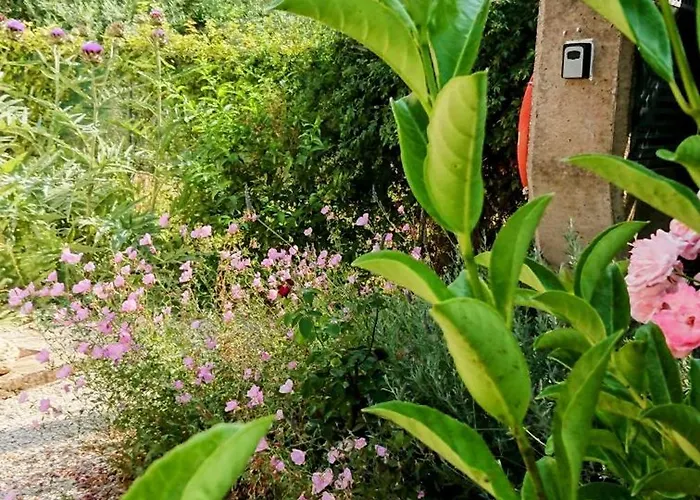 Evilion House Intholo. Sea, Nature, Relaxation!